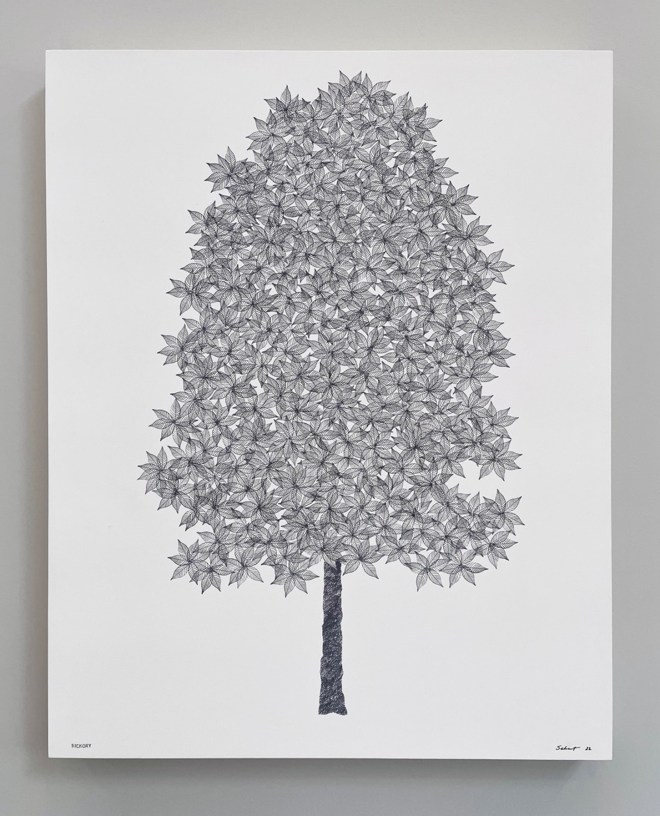 John Salvest, Hickory, 2022