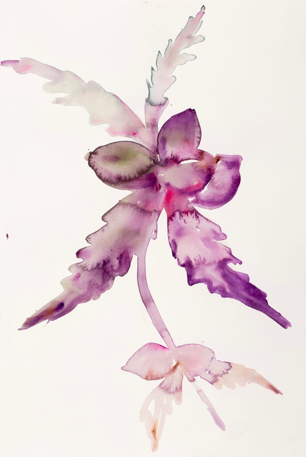 Kim McCarty, Purple - Male, 2017