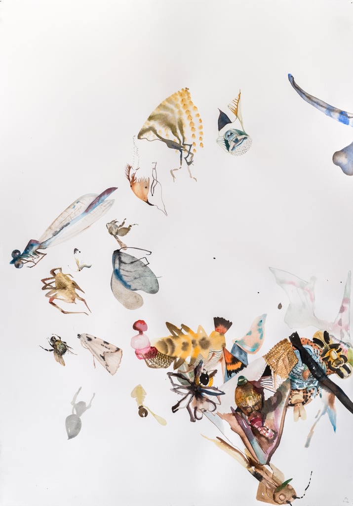 Emilie Clark, Untitled (T-16), from Meditations on Hunting, 2015