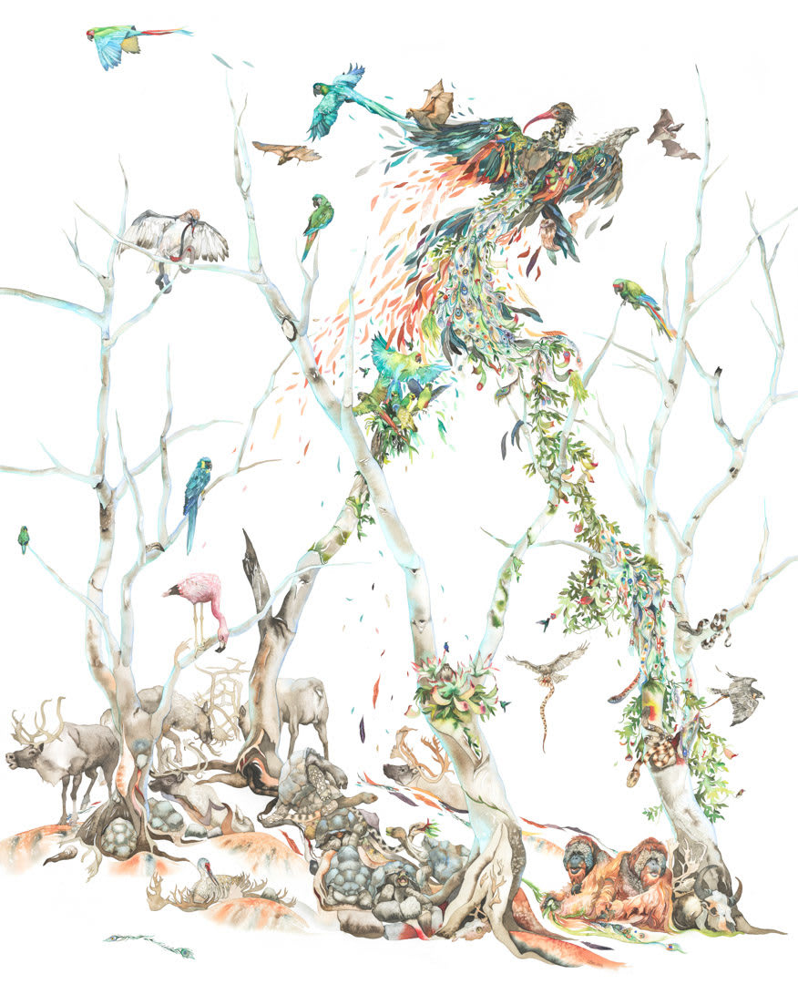 Laura Ball, Phoenix, 2014