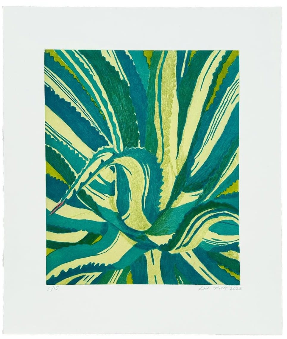 Lisa Rock, Tuxedo Agave II, 2025