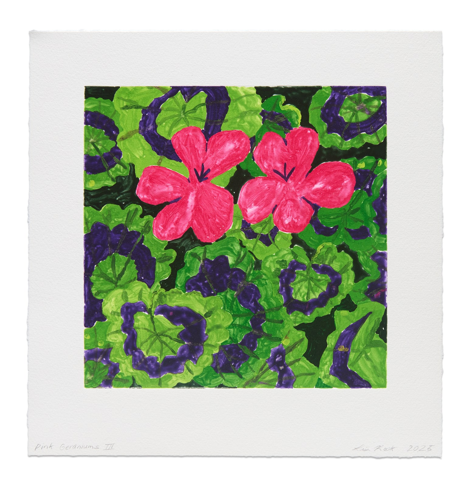 Lisa Rock, Pink Geraniums III, 2025