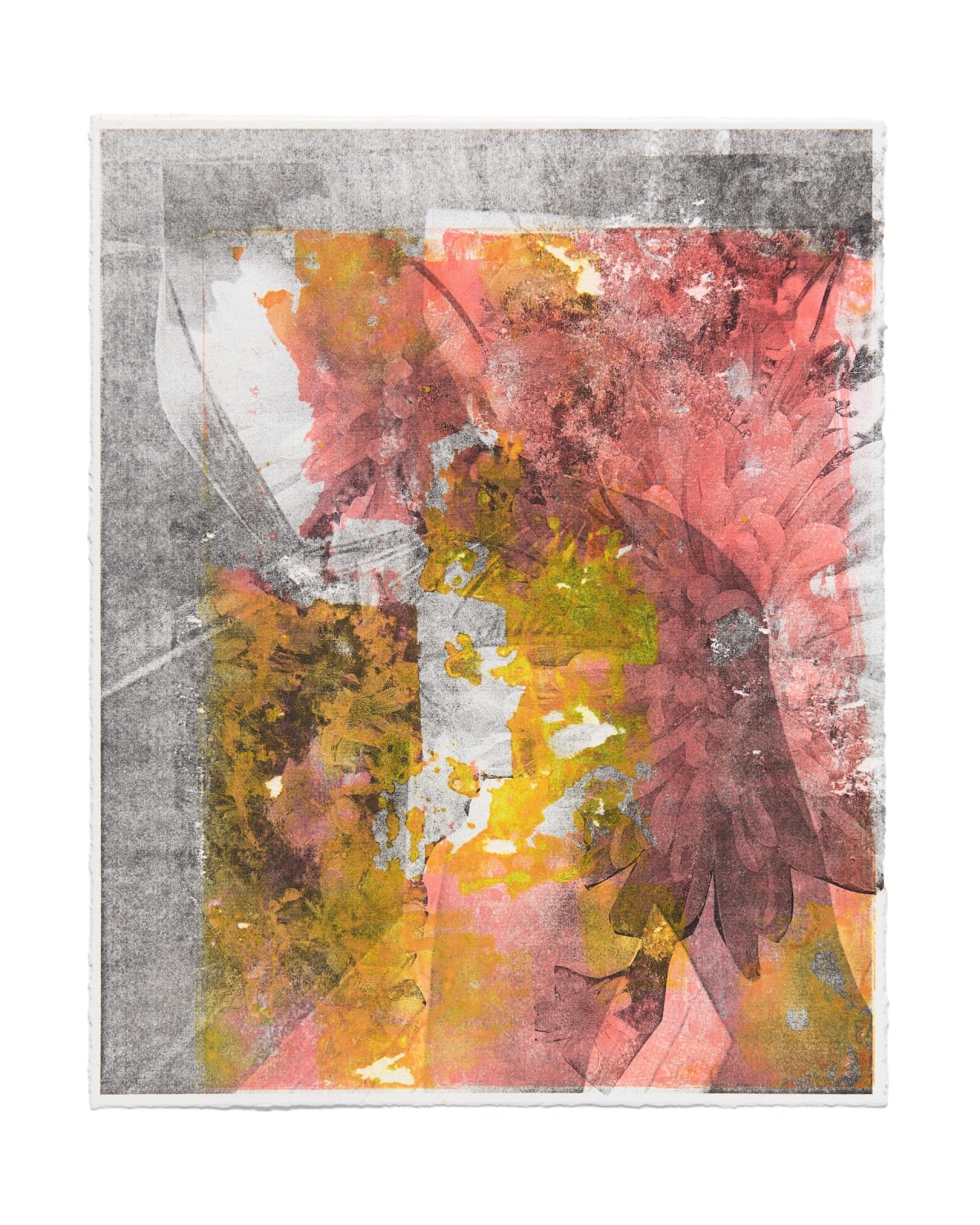 Facundo Argañaraz, Untitled, 2025