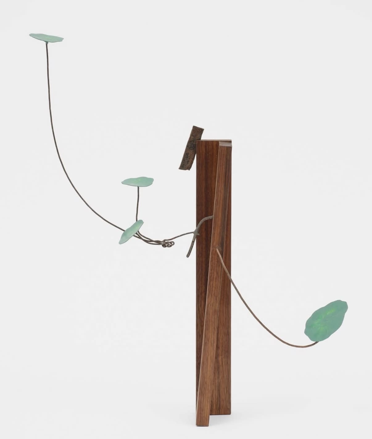 Conrad Guevara, Ear shrapnel with nasturtium, 2022