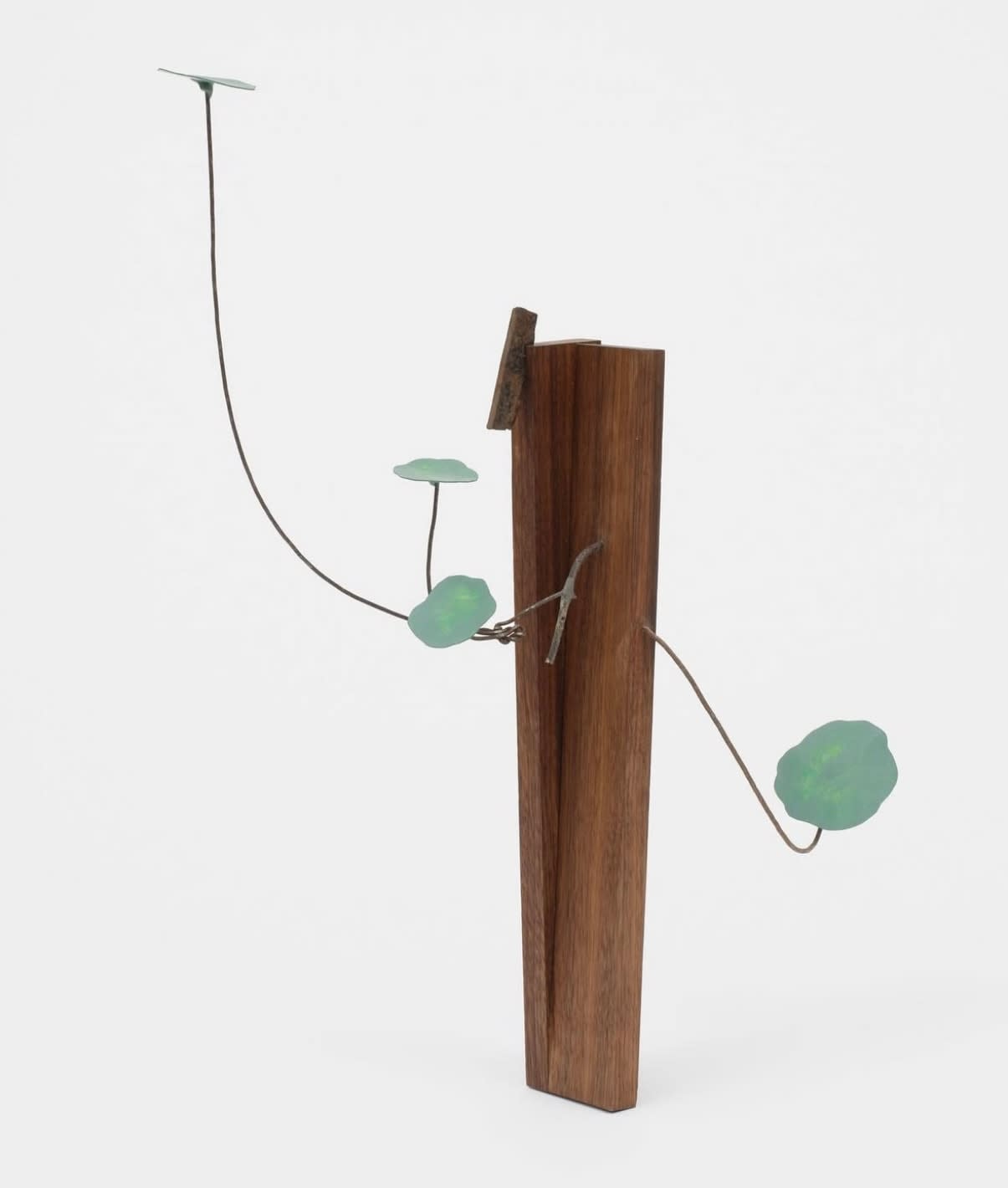 Conrad Guevara, Ear shrapnel with nasturtium, 2022