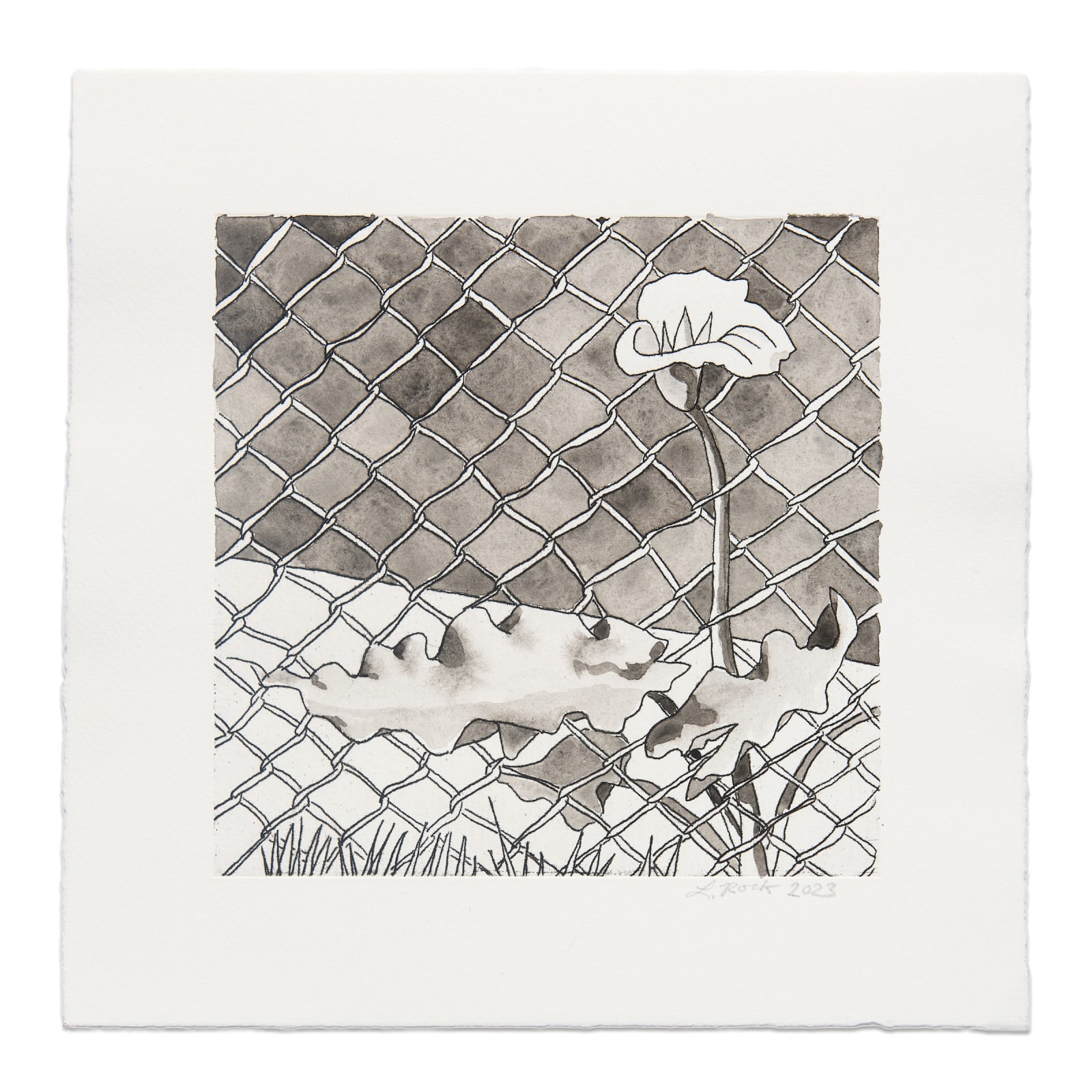 Lisa Rock, Calla Lily with Chainlink, 2023