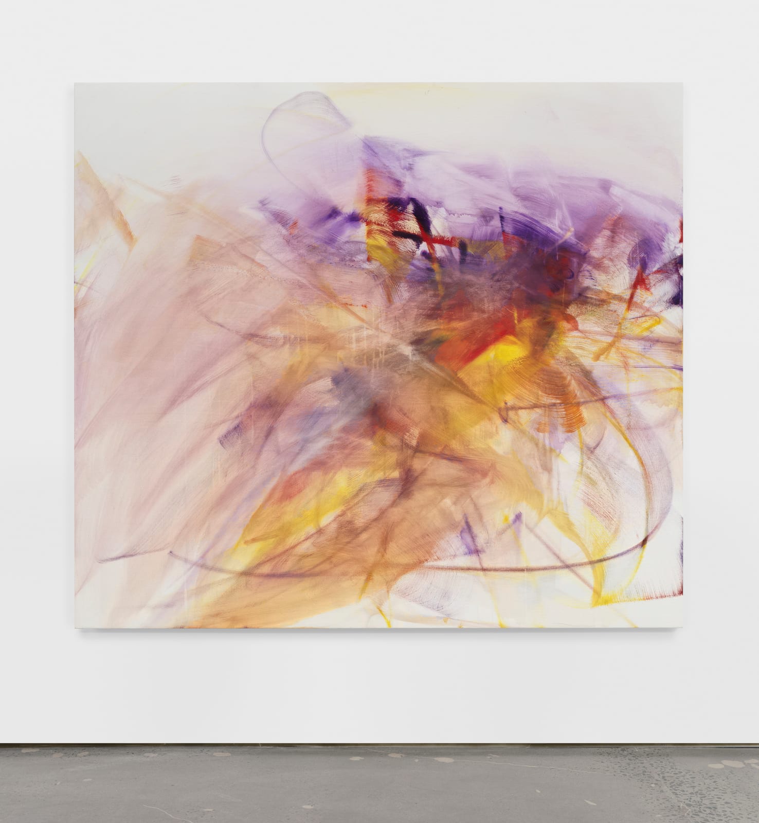 Terry Rosenberg, Barry V, 2008