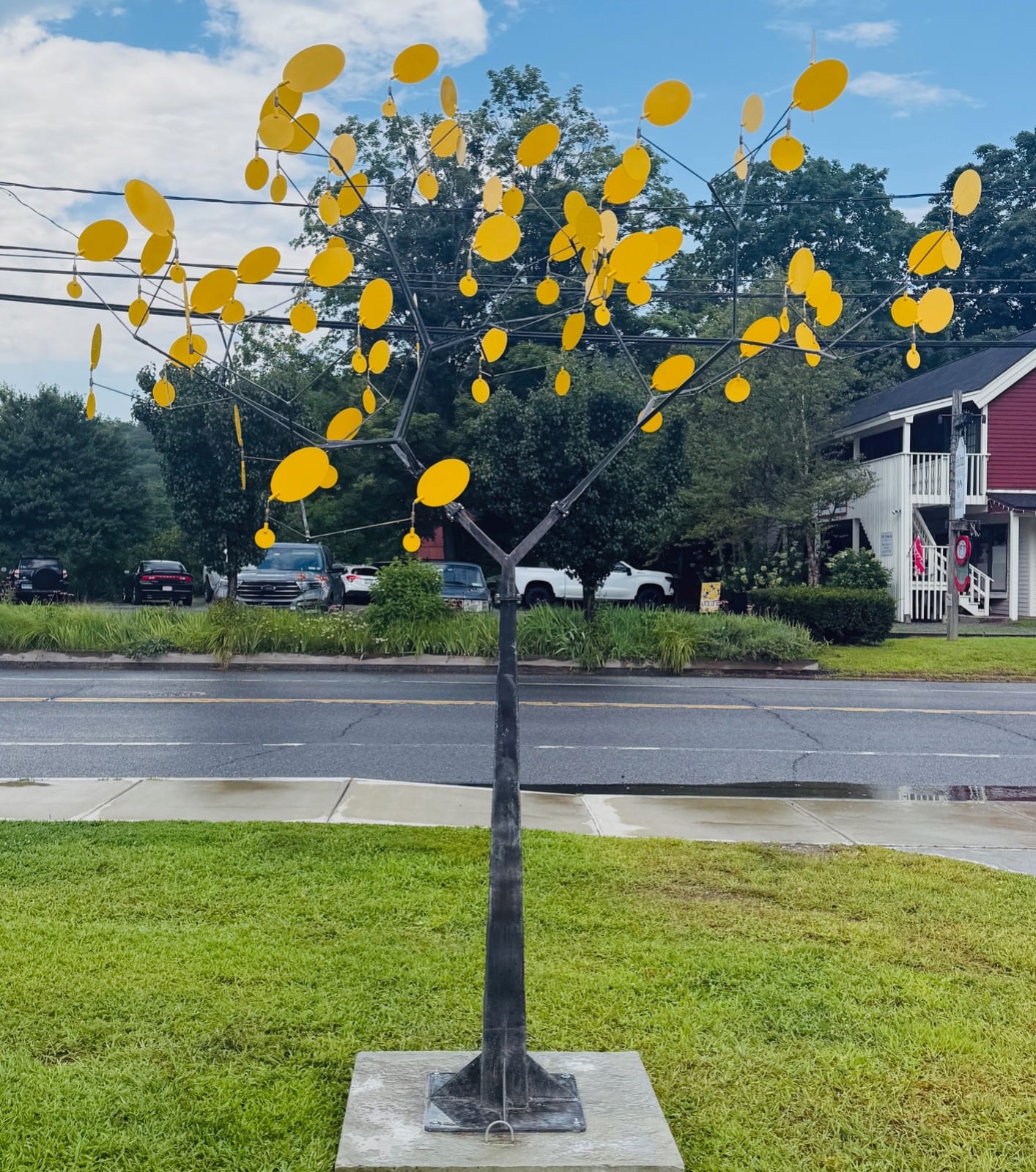 Martin Smith, Lemon Tree, 2025