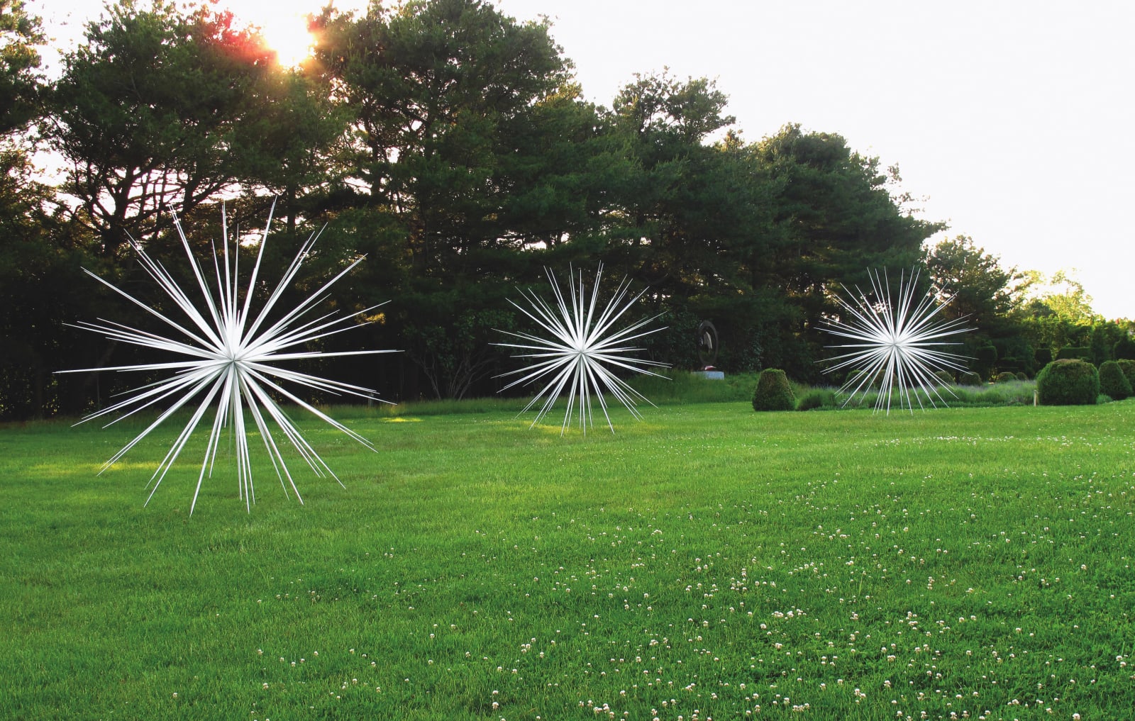 Norman Mooney, Windseed 12', 2022