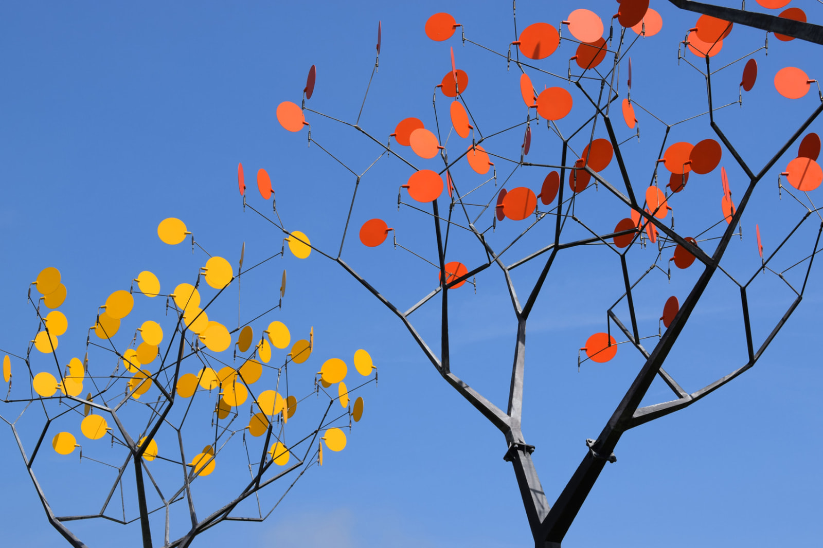 Martin Smith, Installation (detail)