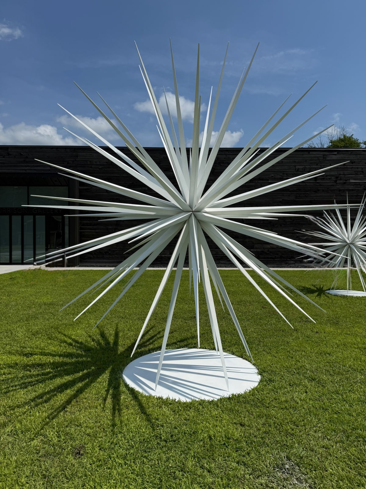 Norman Mooney, Windseed 12', 2022