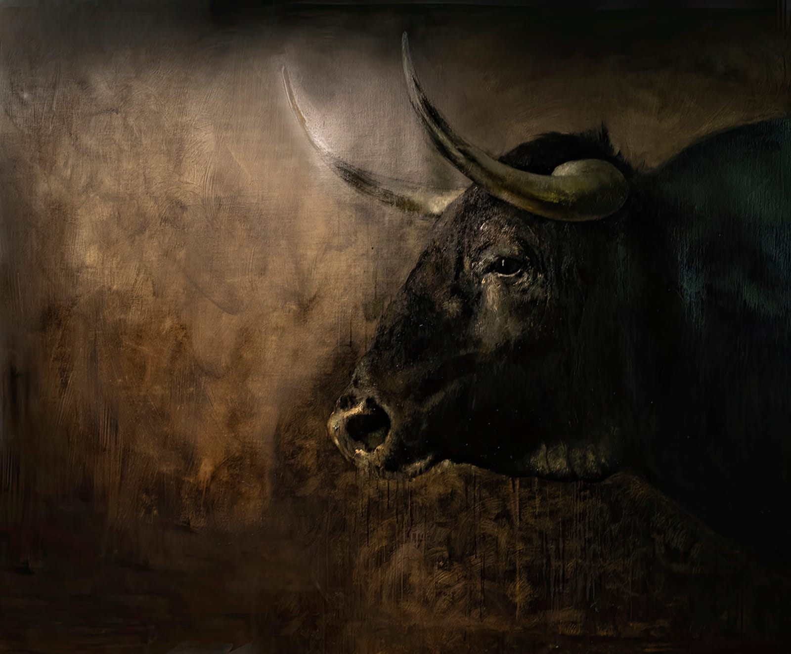 Giovanna Ruz, toro cabeza, 2024