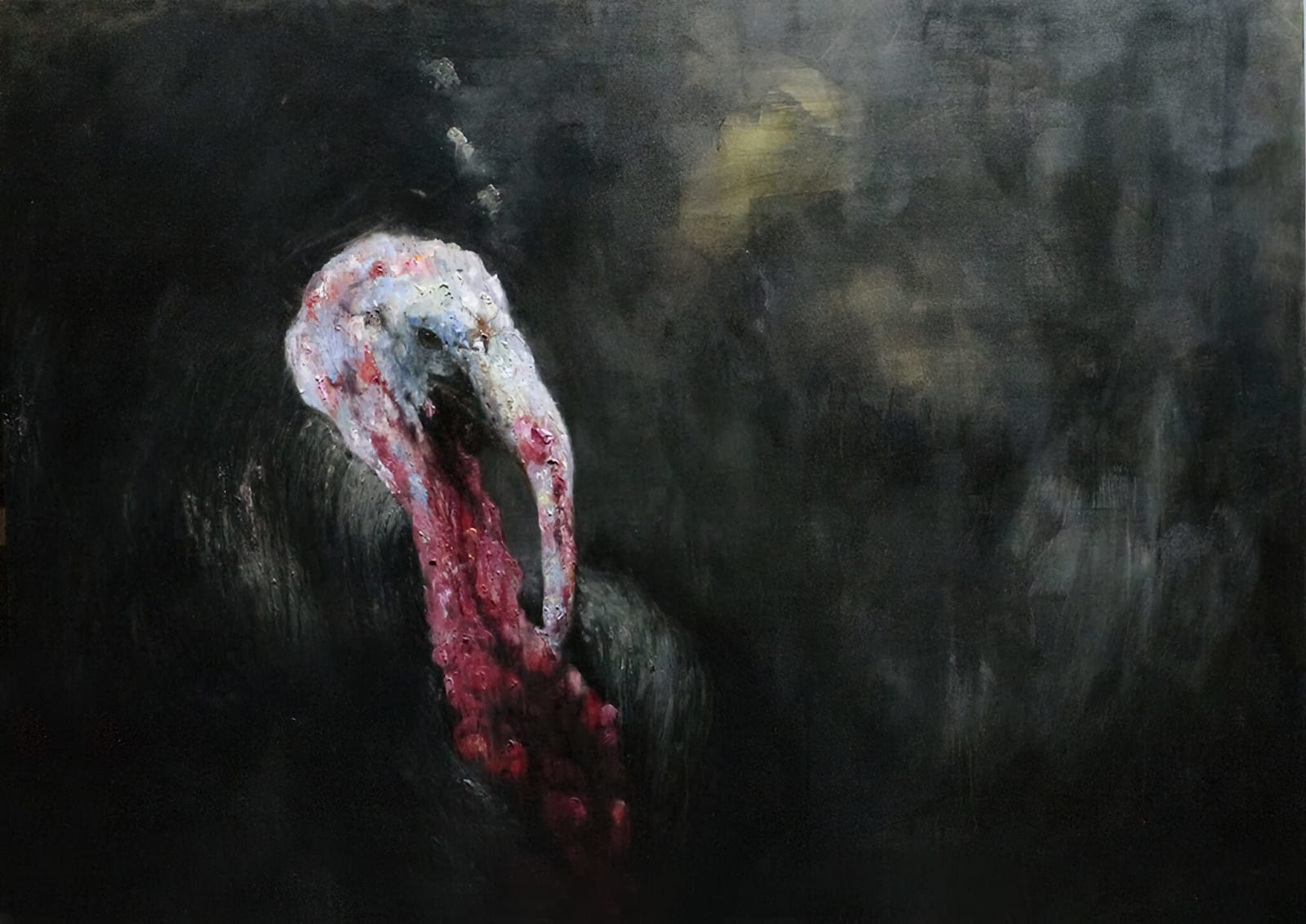 Giovanna Ruz, Pavo 001, 2000-2023