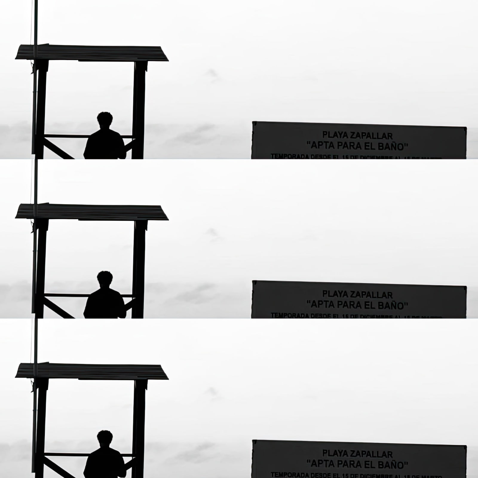 Teresa Cruz Elton, Dark series Nro 342, 2022