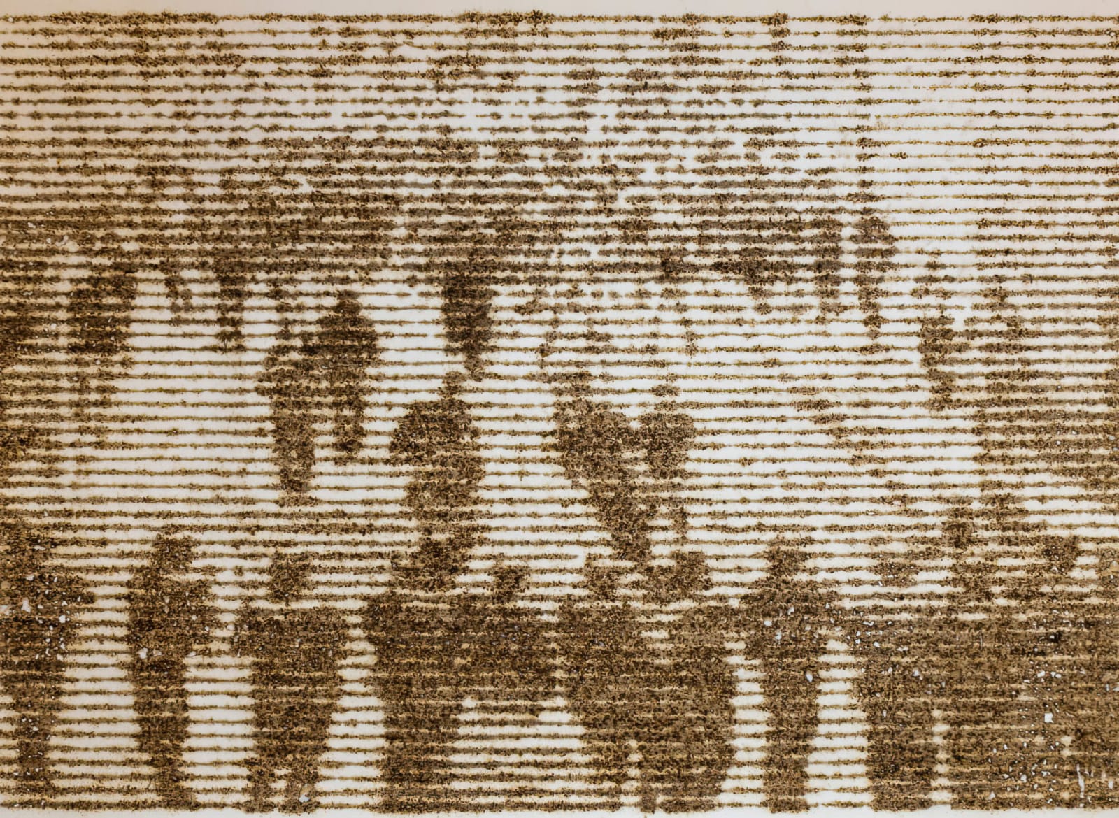 Tomas Espina, Medios LVII, 2014