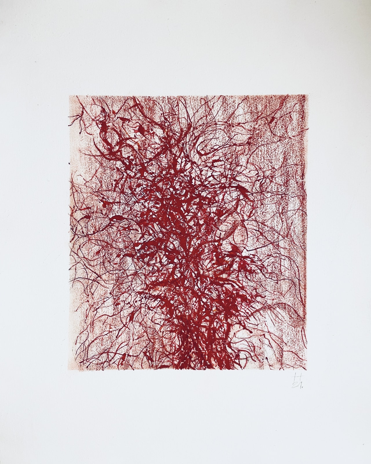 Teresa Cruz Elton, Red Nro 002, 2021