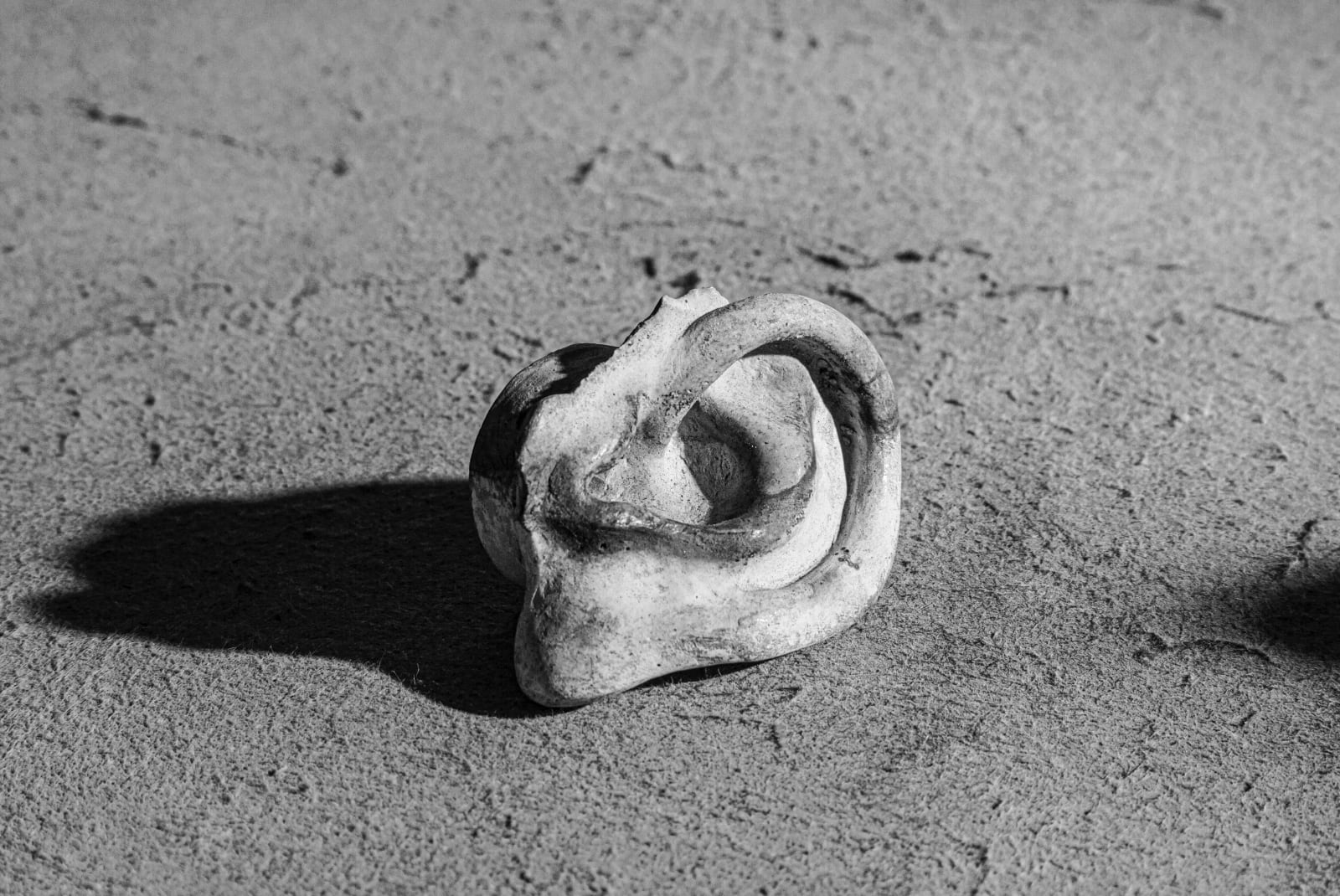 Miguel Etchepare, Coma_deep_sleep8, 2020