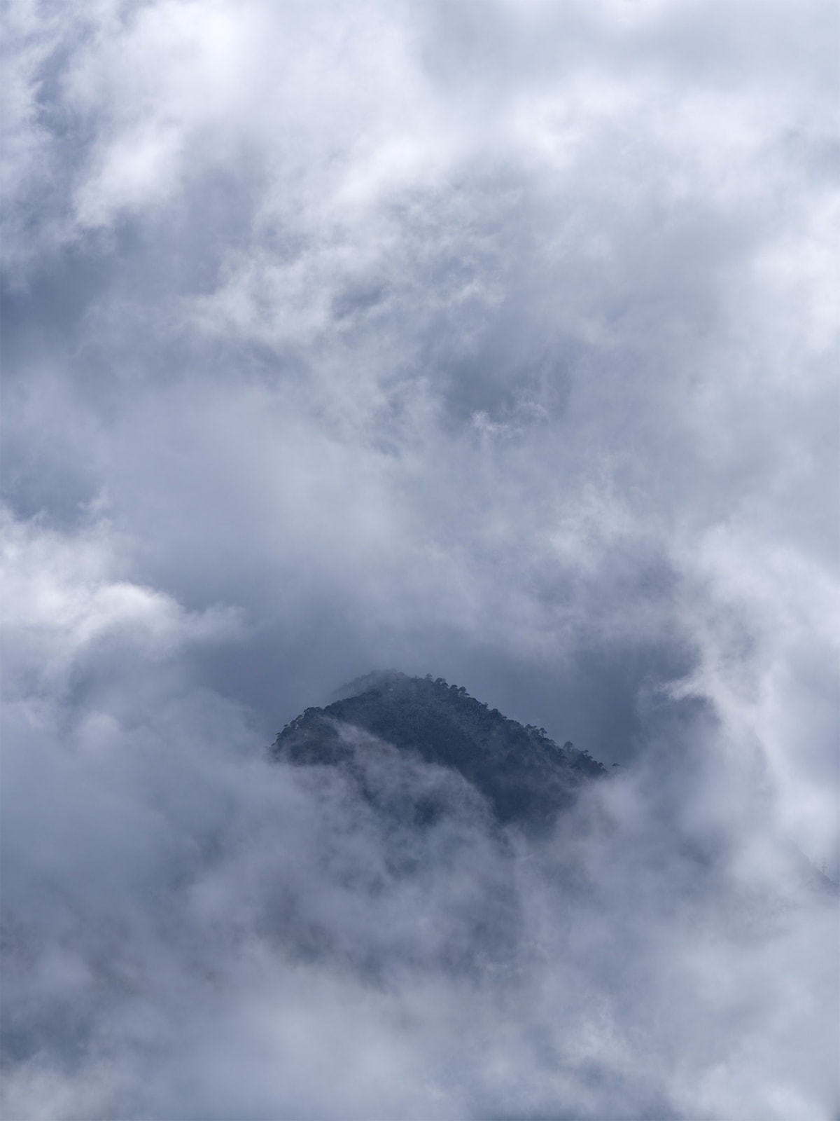 Pablo O'ryan, Isla, 2020