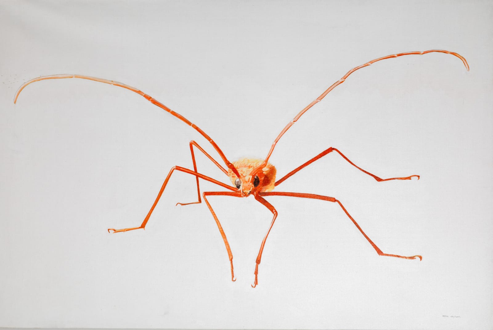 Rodrigo Fabri, Insects, 2009