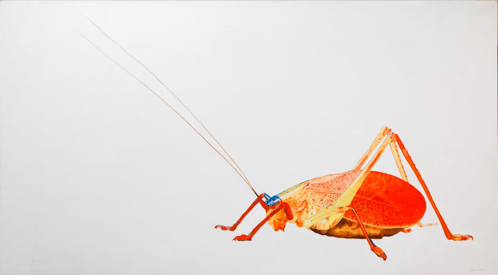 Rodrigo Fabri, Insects, 2009