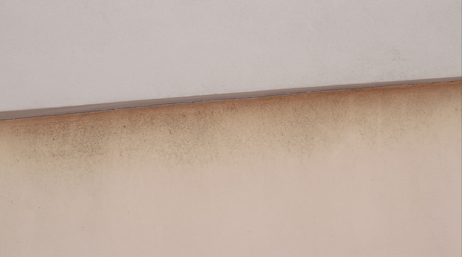 Seven Rol, miamii_series3, 2020