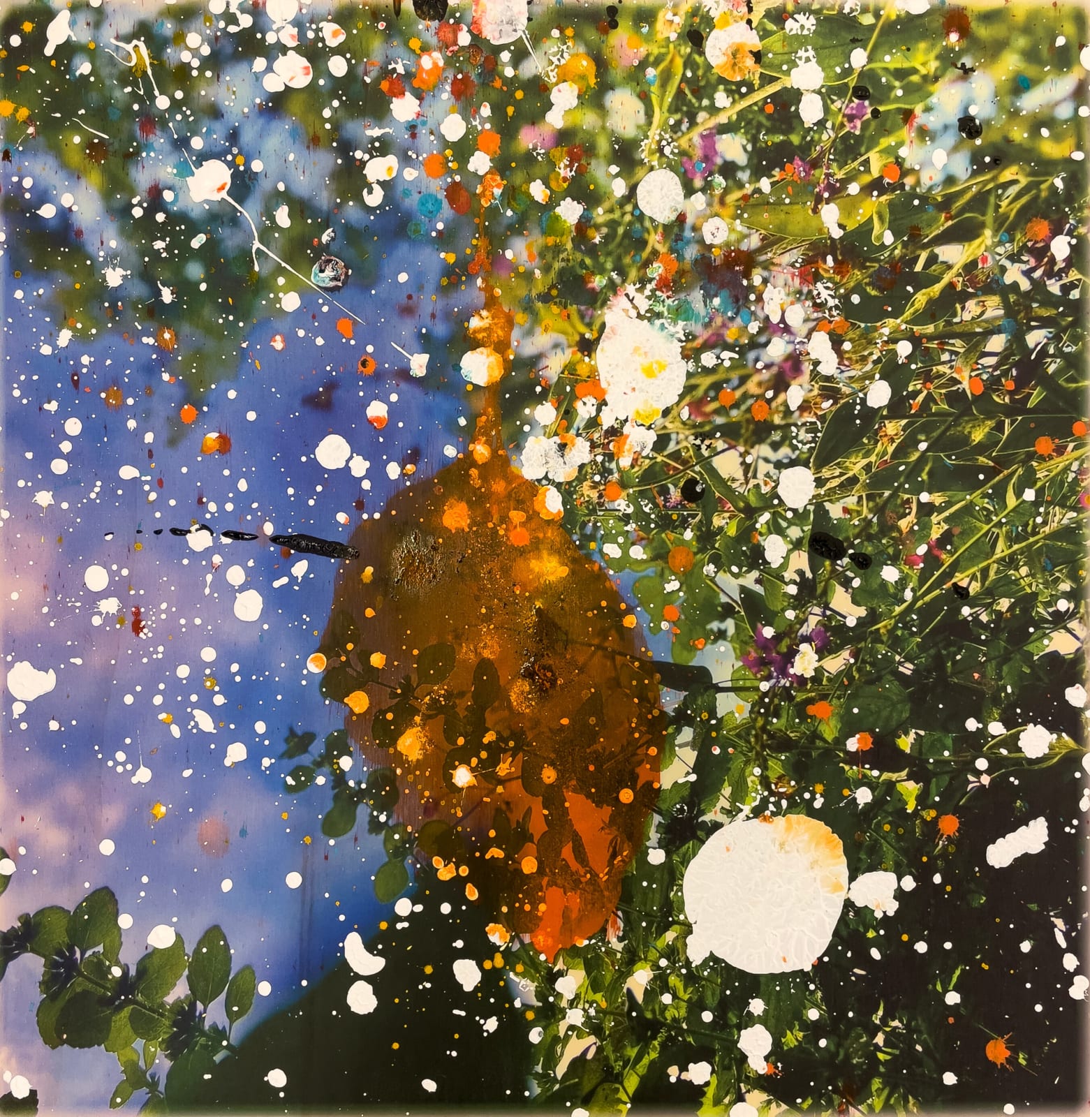 Mota Montero, Natura Nro 003, 2023