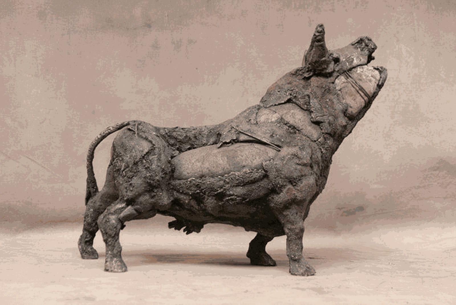 Palolo Valdes, Toro Bramando, 2009