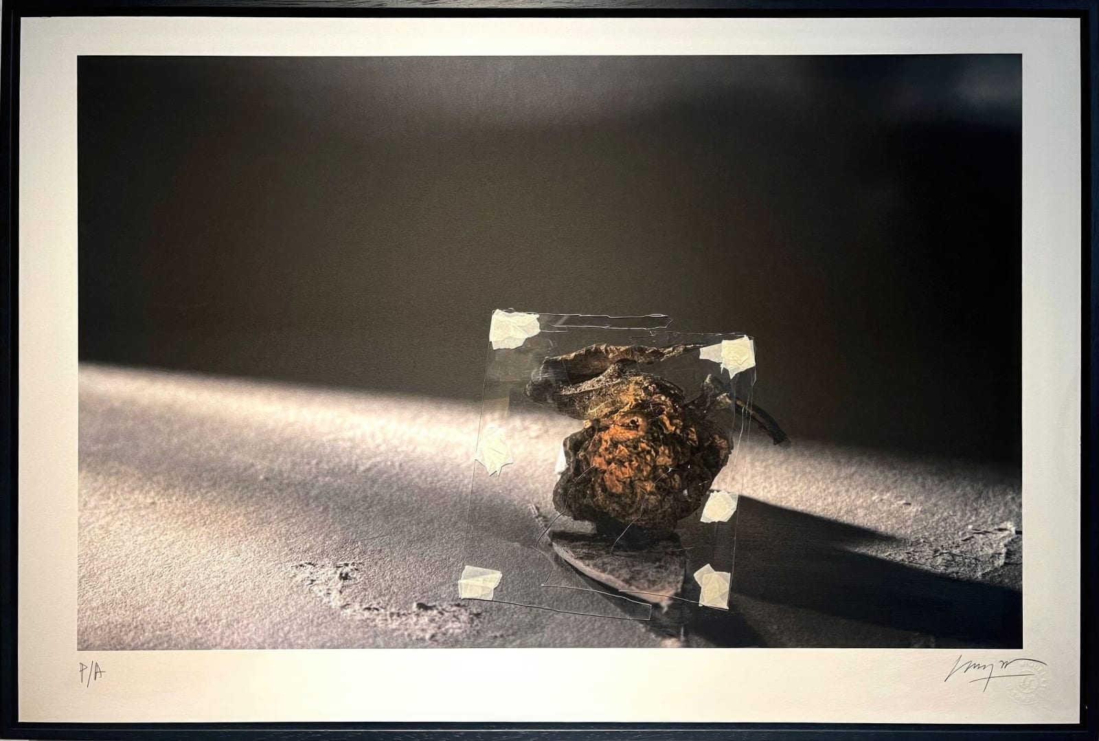 Miguel Etchepare, Manzana Intervenida, 2020