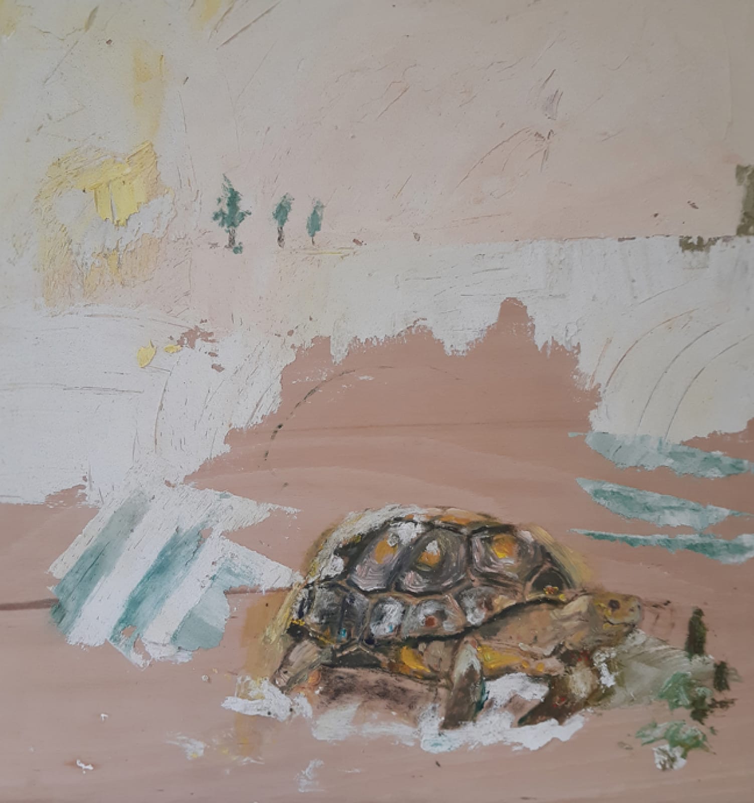 Nelly Schmücking, Redfootedtortoise, 2022
