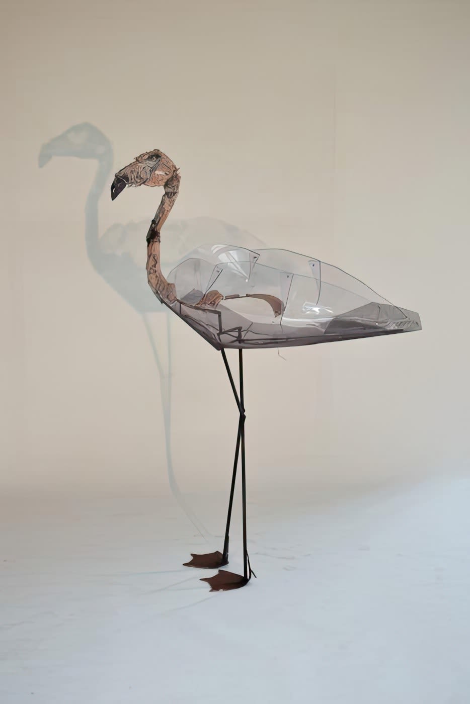Nelly Schmücking, flamingo, 2019