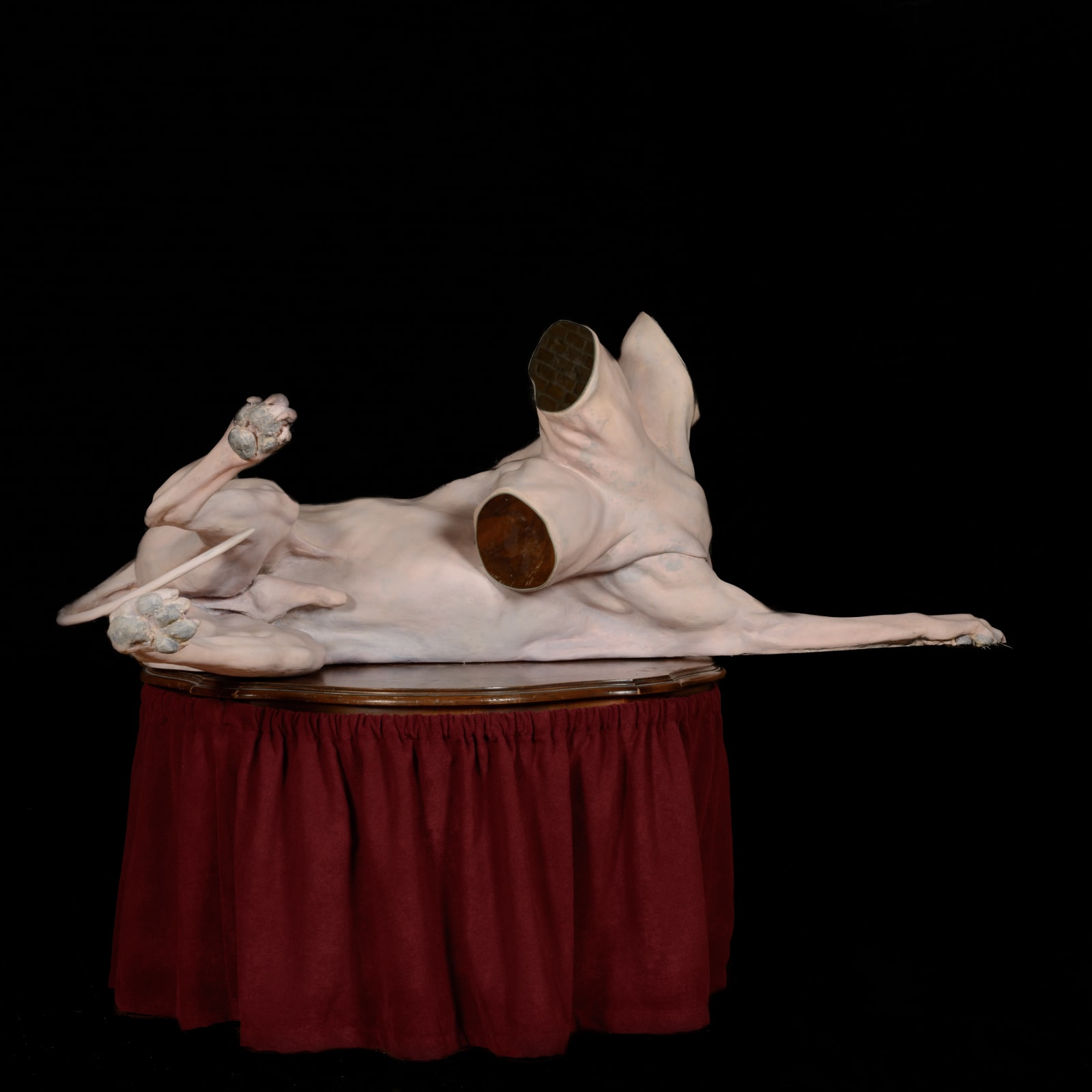 Gino Lucas, Leaders, 2021