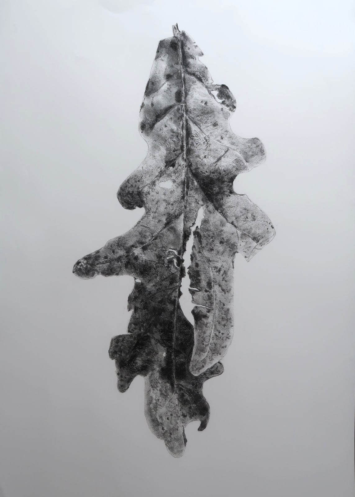 Aleida van Dijk, Overgave series, 2024/2025