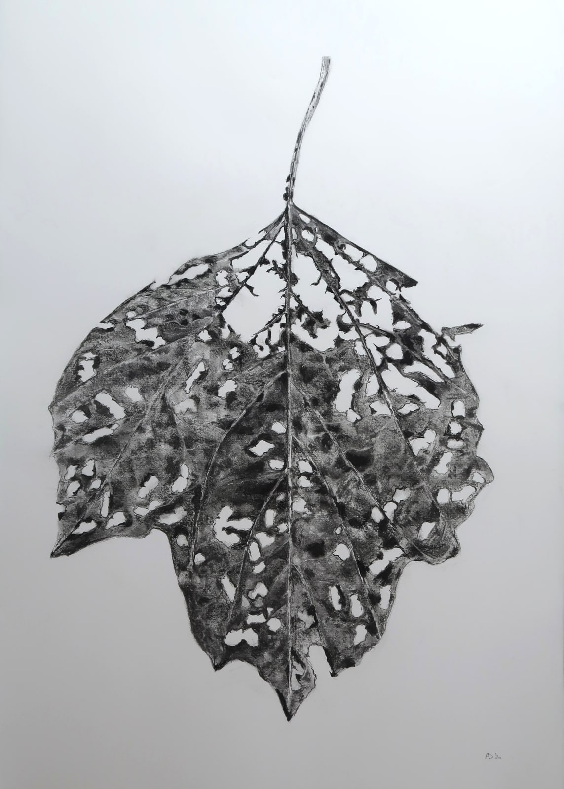 Aleida van Dijk, Overgave series, 2024/2025