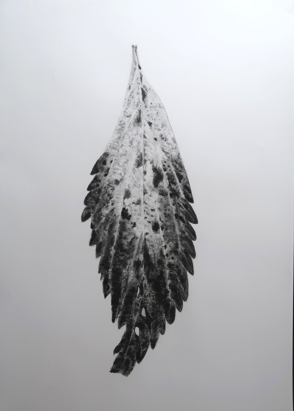 Aleida van Dijk, Overgave series, 2024/2025