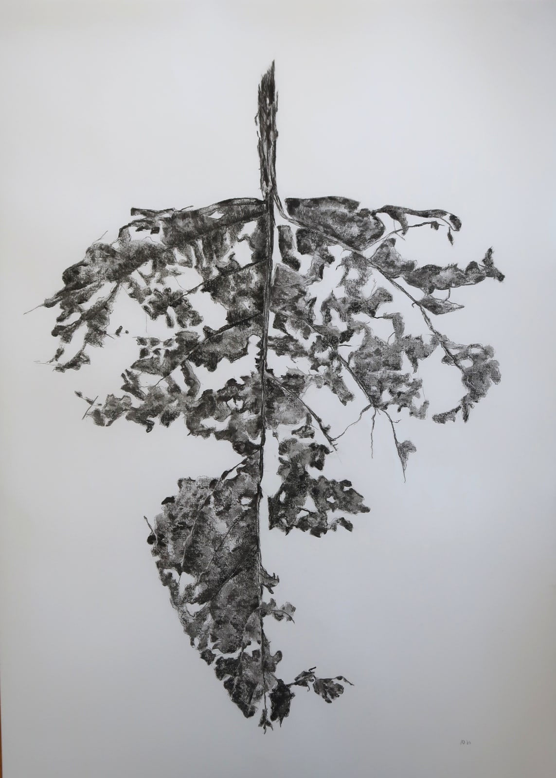 Aleida van Dijk, Overgave series, 2024/2025