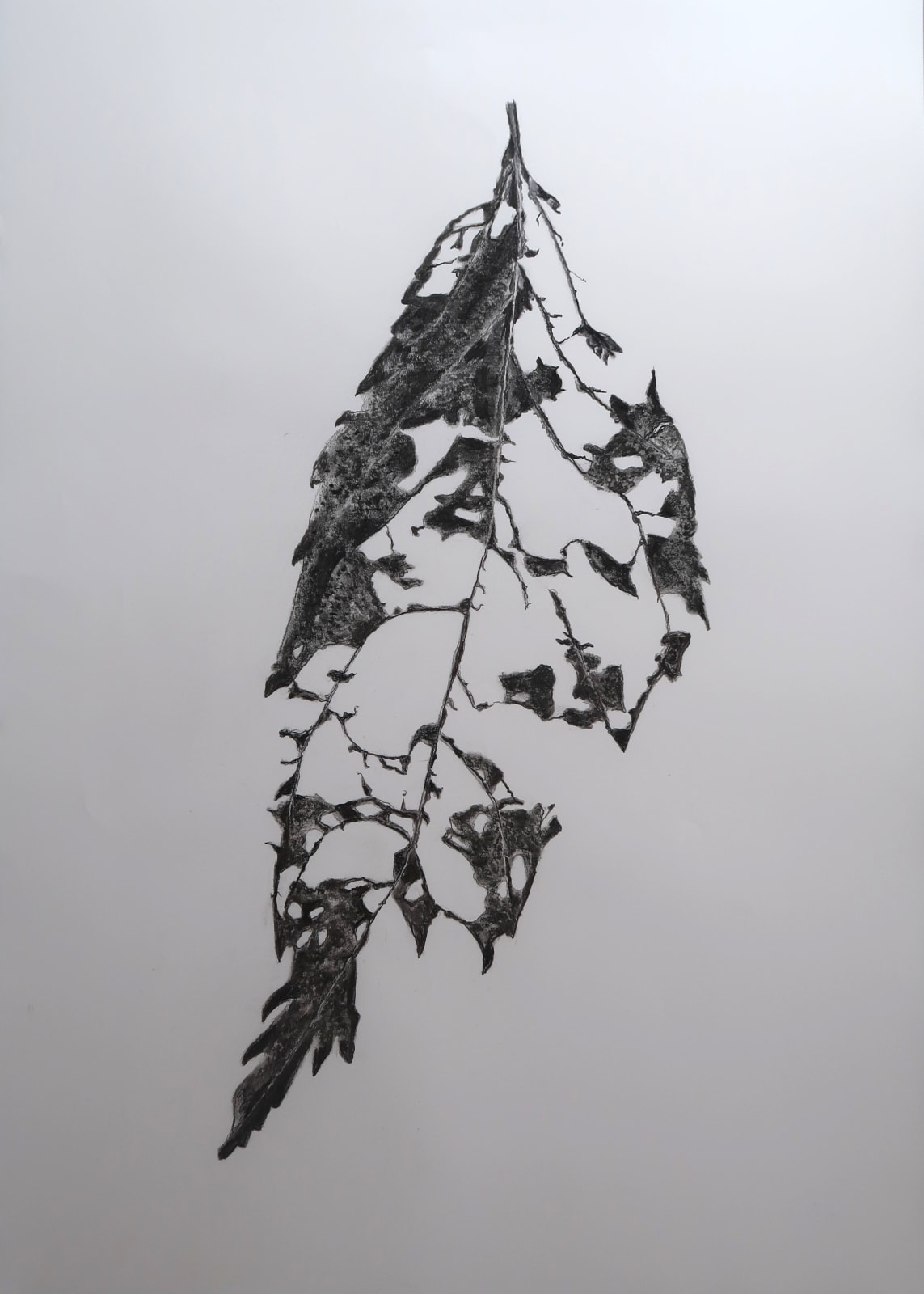 Aleida van Dijk, Overgave series, 2024/2025