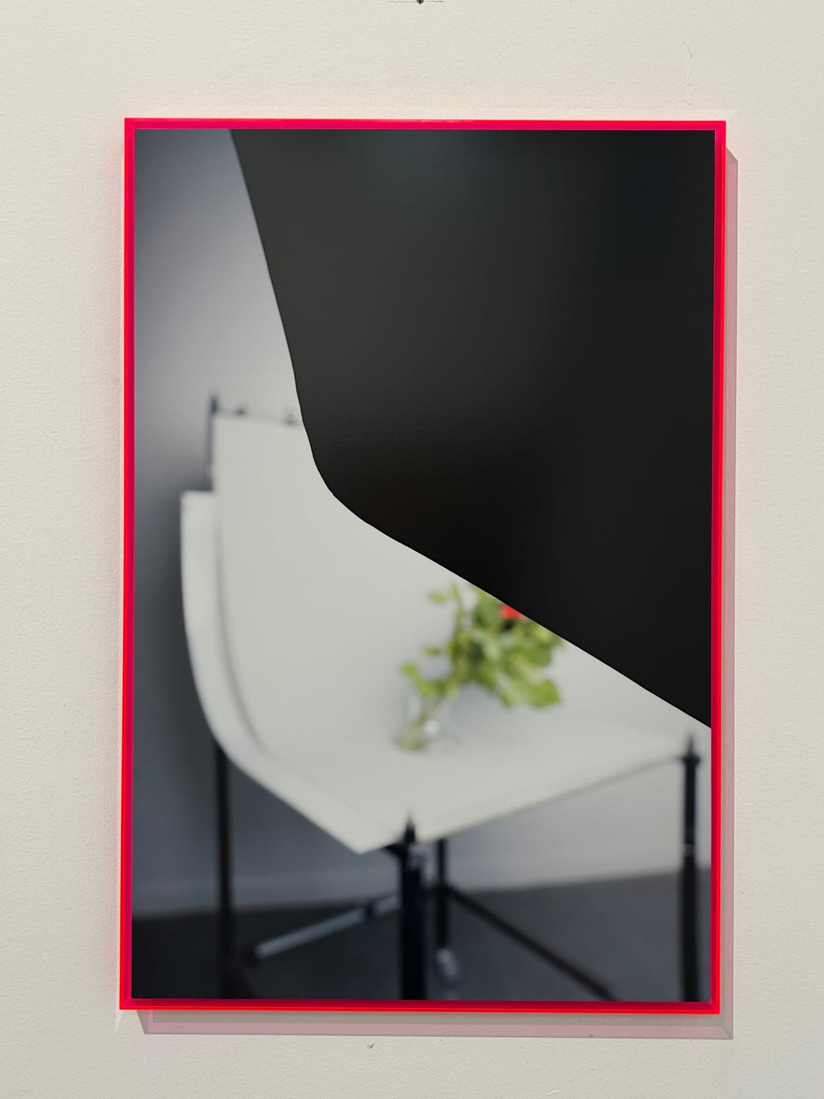 Enea Mingorance, Untitled work (Shelf Life series), 2025