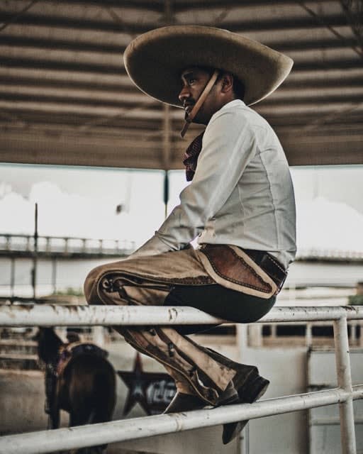 Cooper Seykens, Fence dreamer