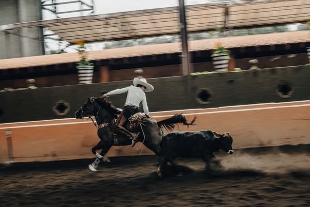 Cooper Seykens, Caught