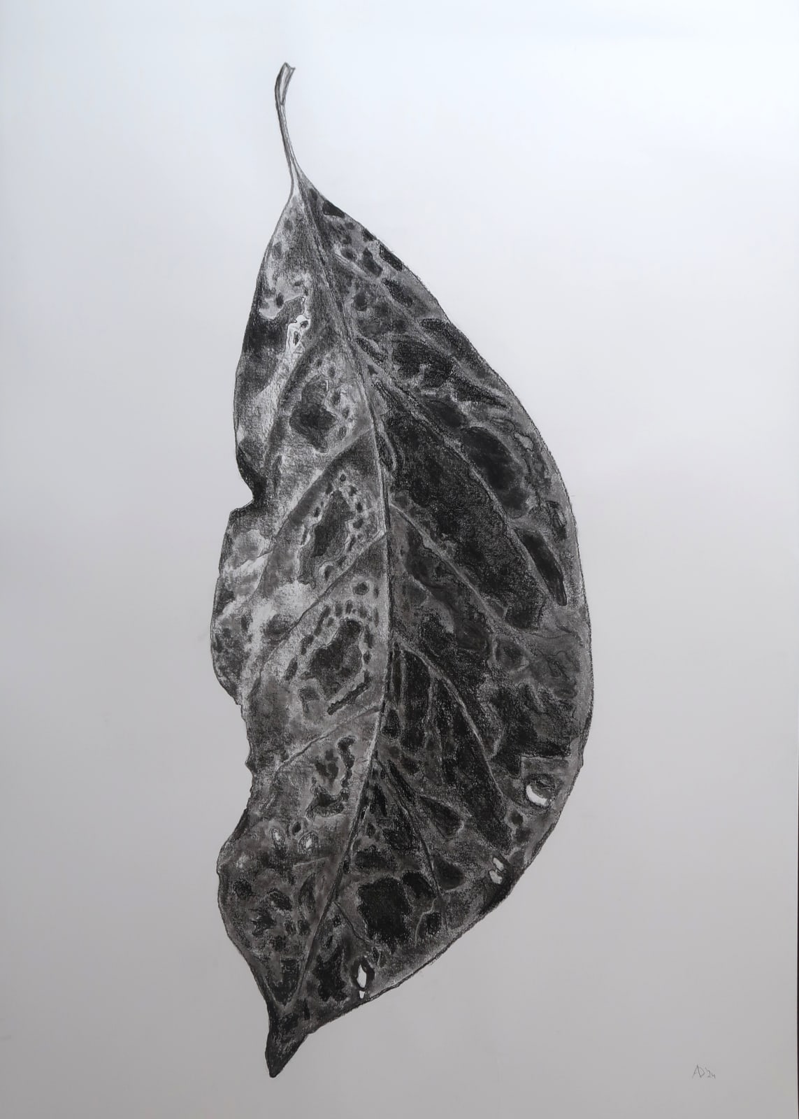 Aleida van Dijk, Overgave series, 2024/2025