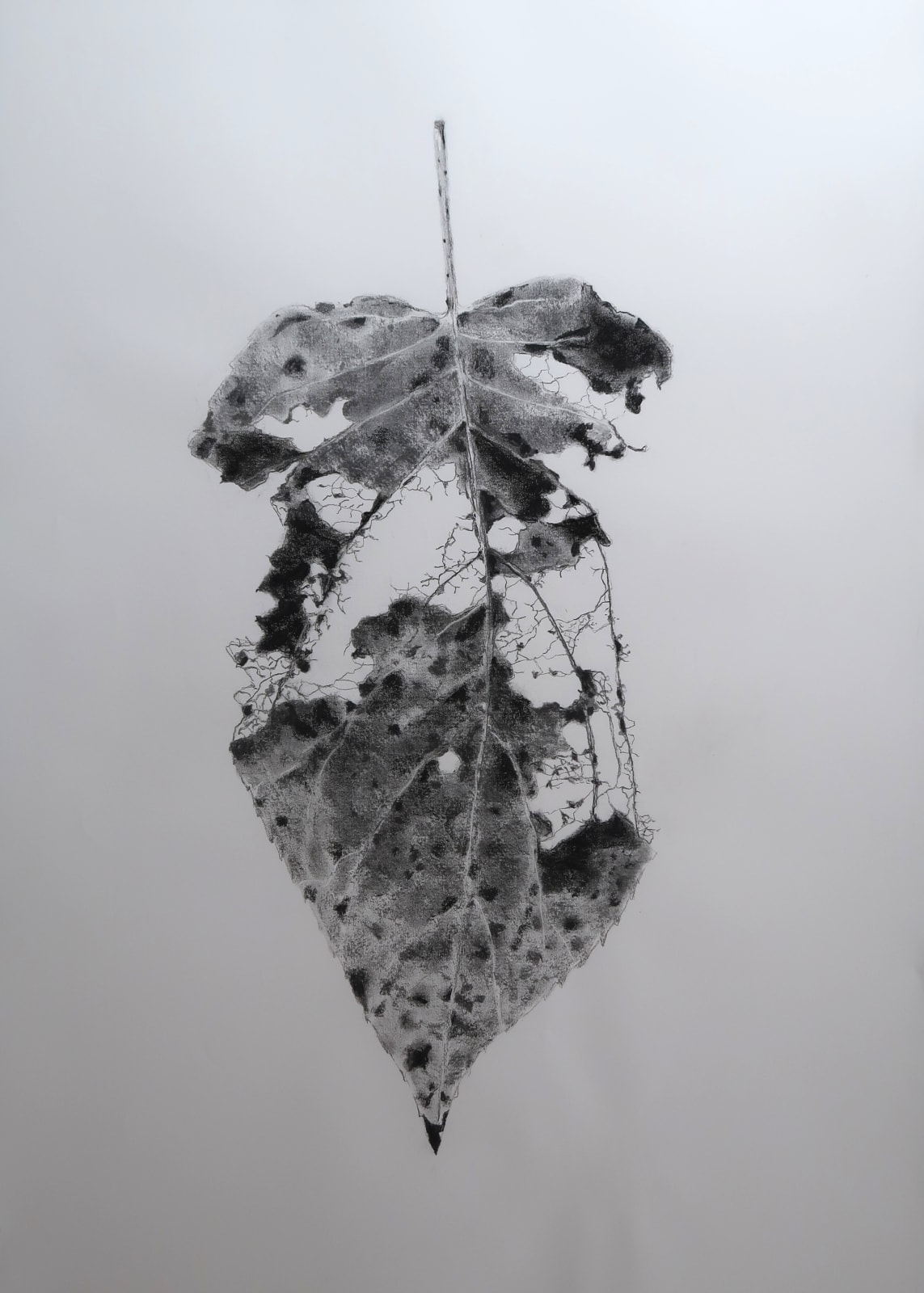 Aleida van Dijk, Overgave series, 2024/2025