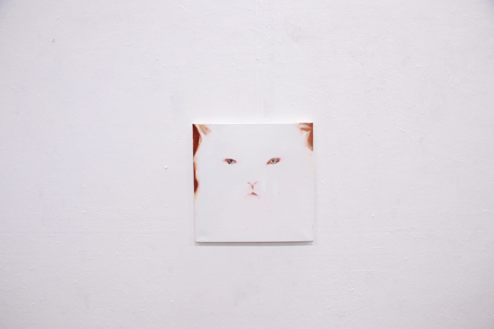 Sarah Prins, Flo, 2025