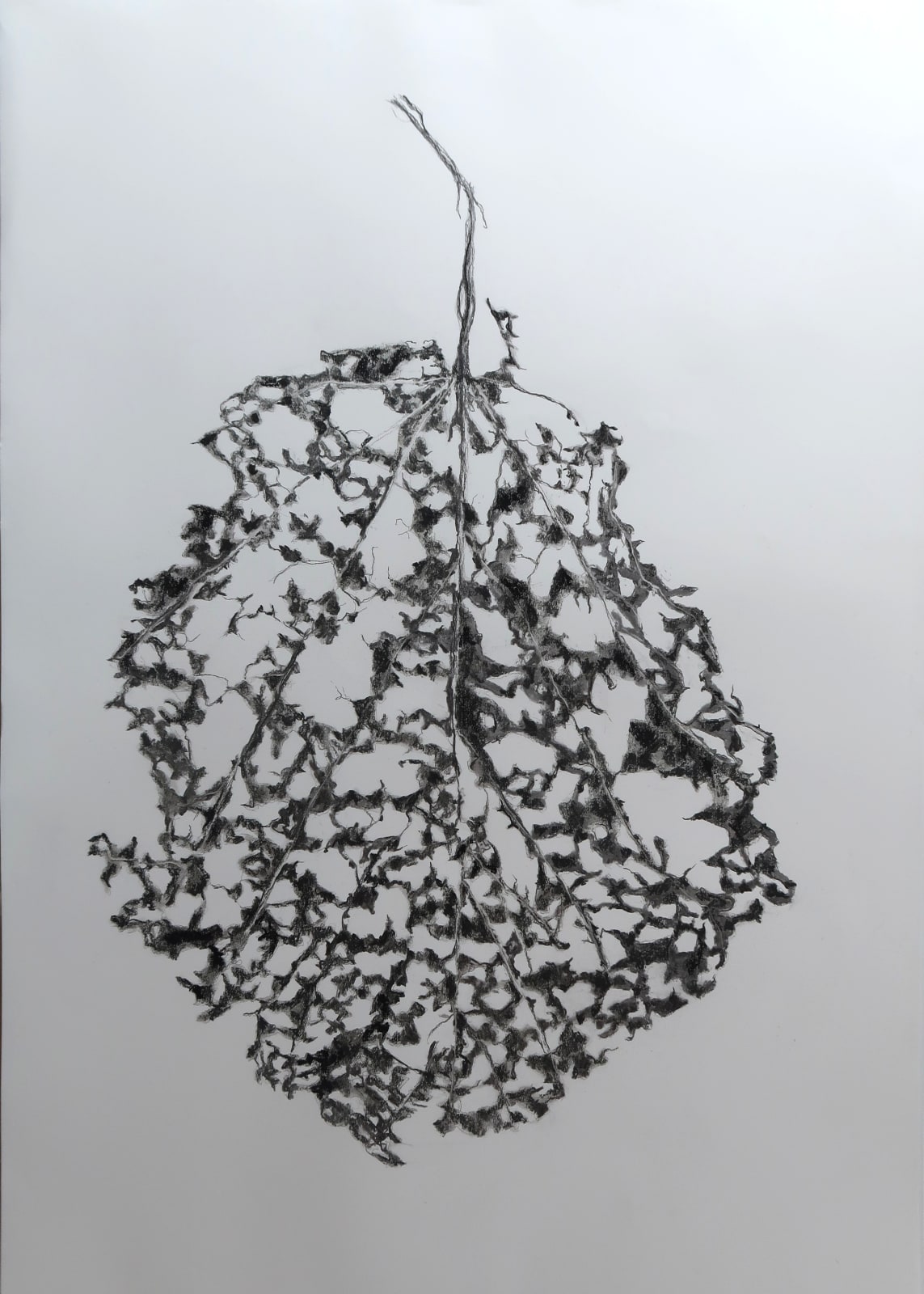 Aleida van Dijk, Overgave series, 2024/2025