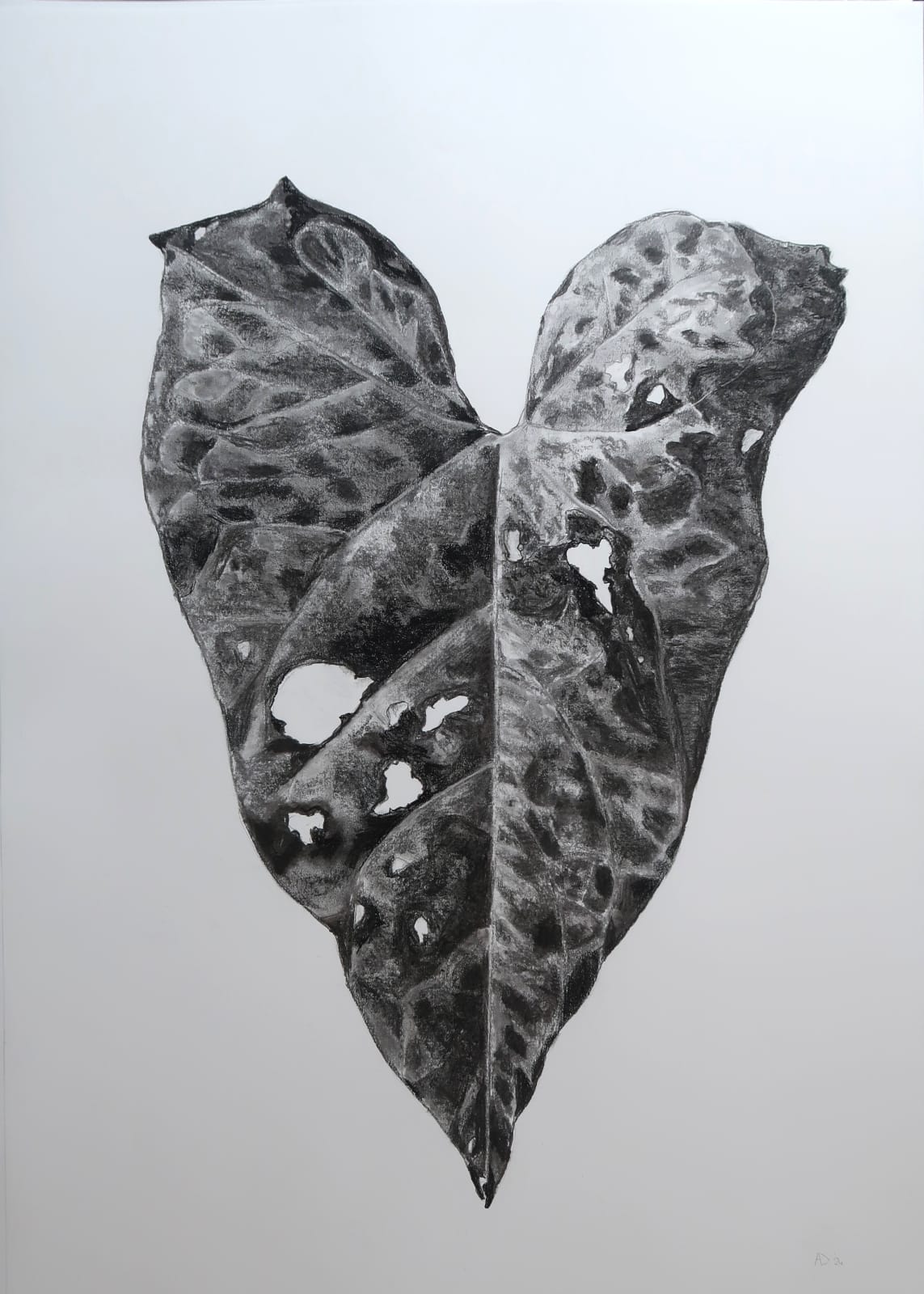 Aleida van Dijk, Overgave series, 2024/2025