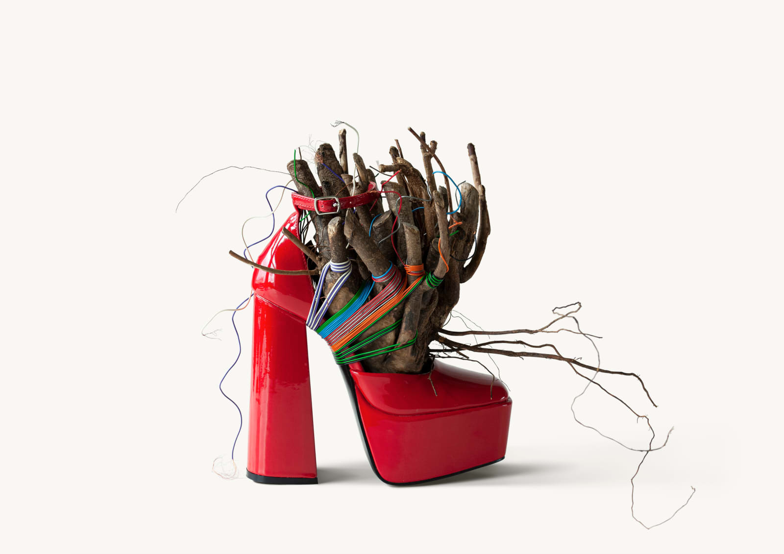 Silvia B, Karan's Sparkle , 2023