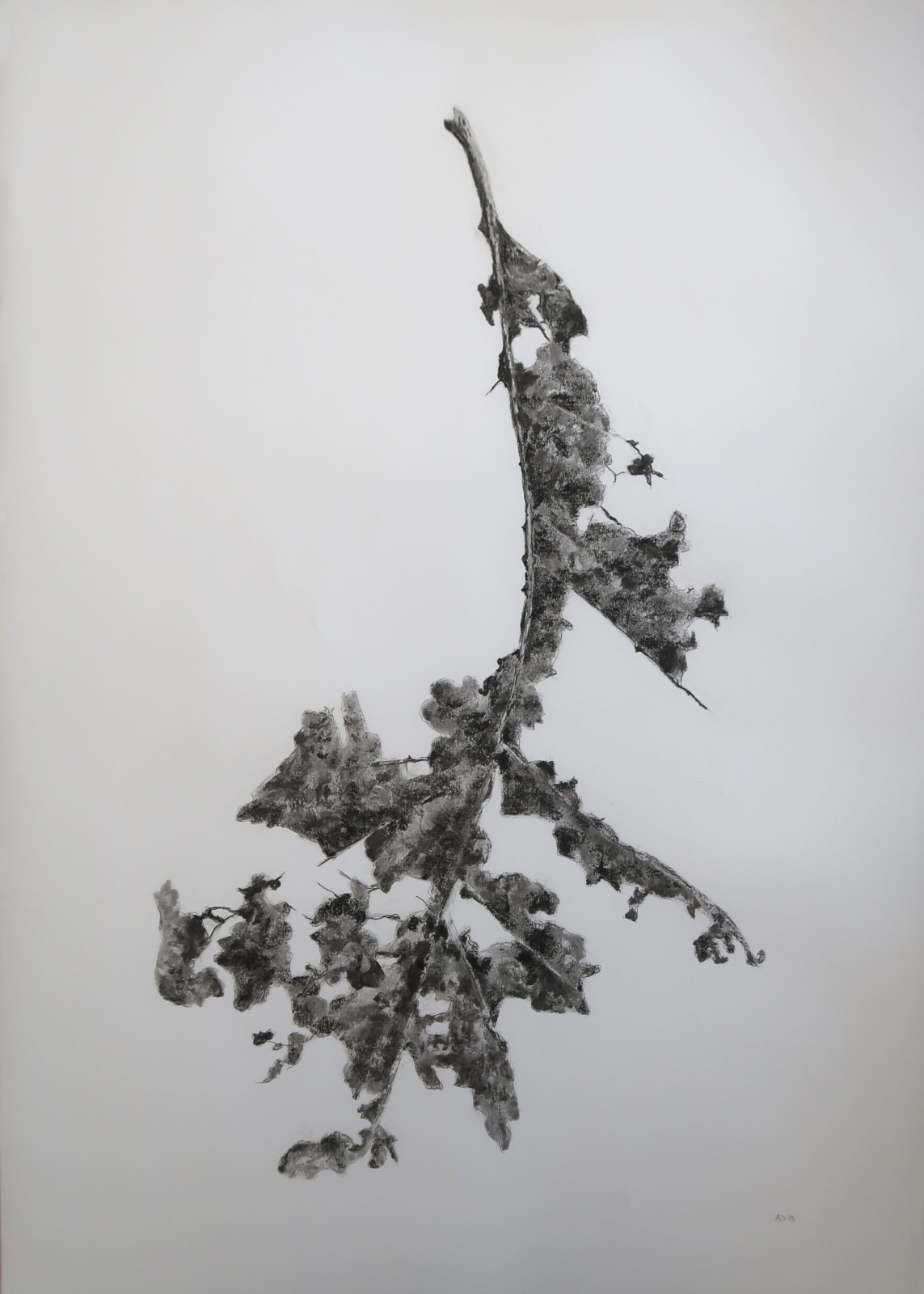 Aleida van Dijk, Overgave series, 2024/2025