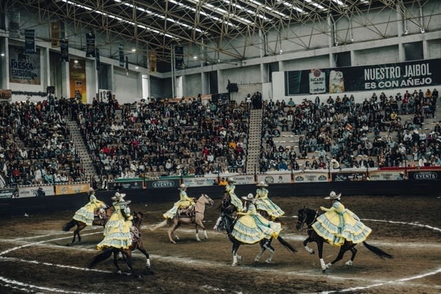 Cooper Seykens, Dresses in the pit