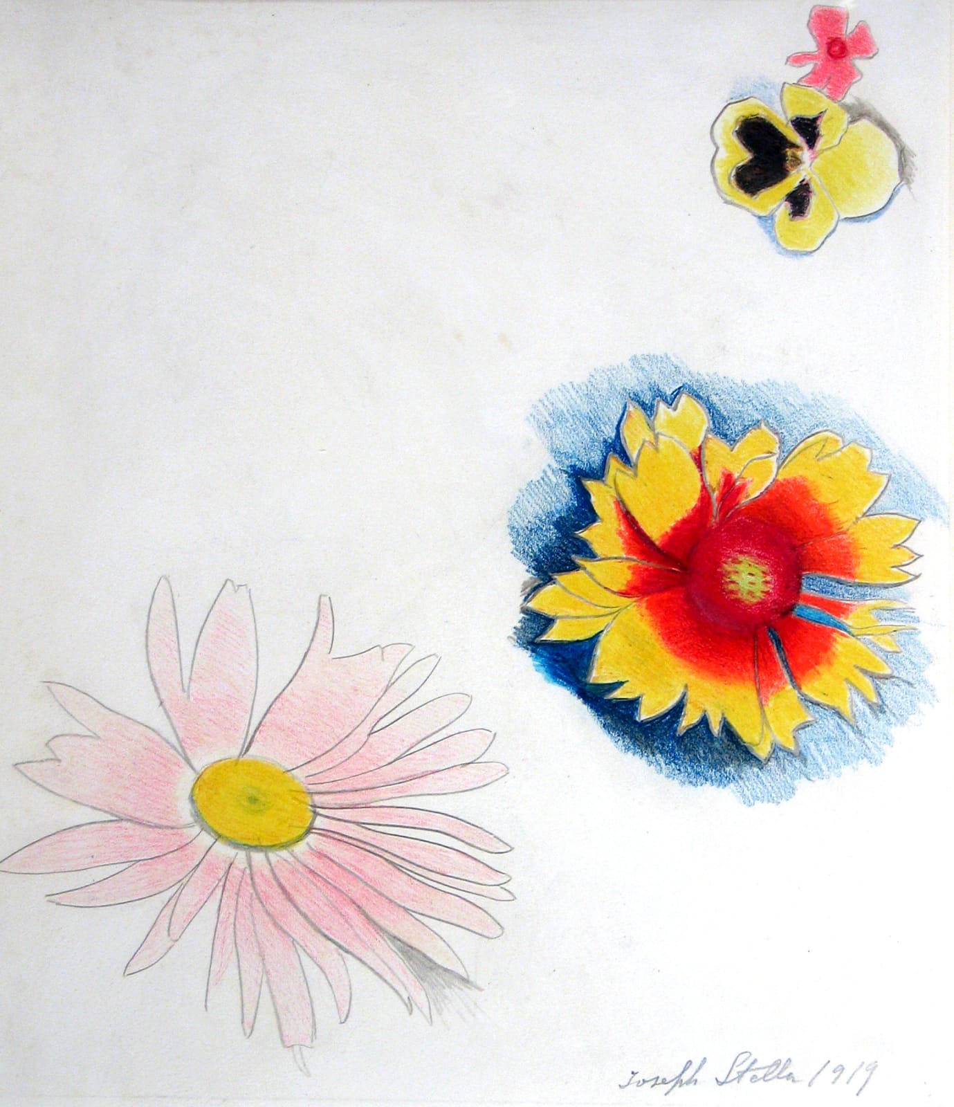 Joseph Stella, Three Colorful Flowers, 1919