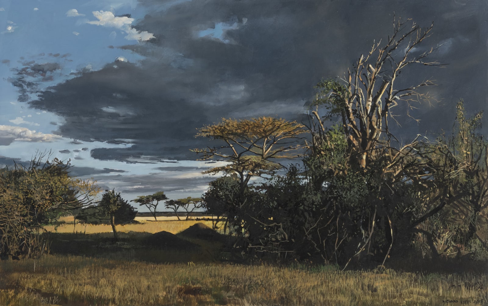 Richard Estes, Serengeti, 2015