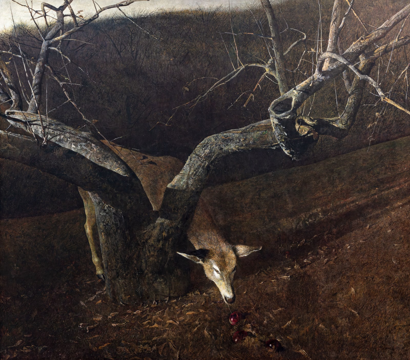 Andrew Wyeth, Jacklight, 1980